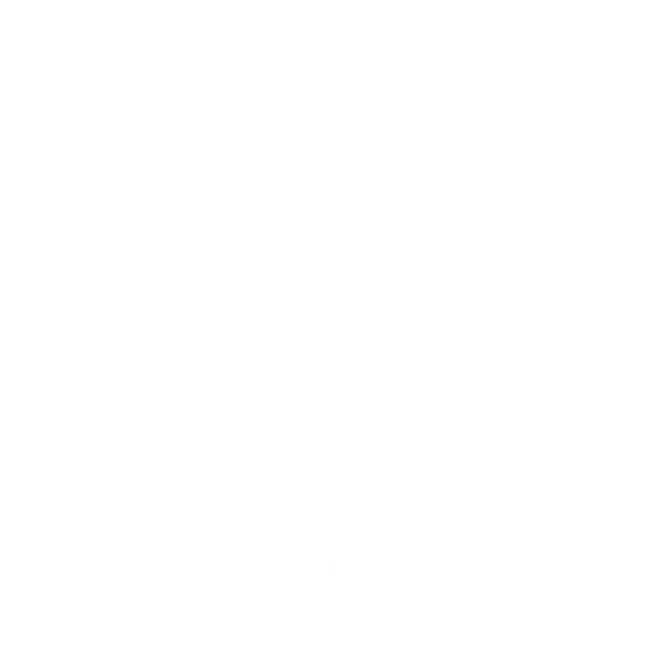 CardioFire